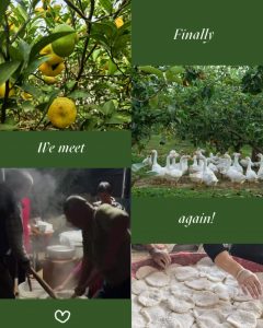 “朝拜”經(jīng)樓的別樣畫(huà)卷